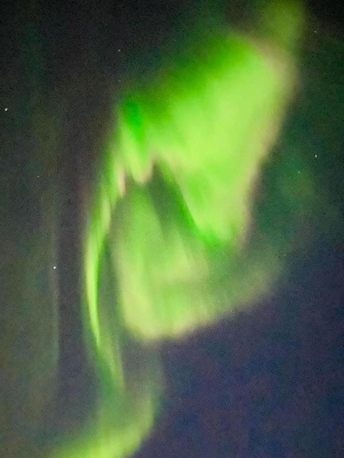 Idyllisk Sjohus Pa Naurstad ボードー エクステリア 写真