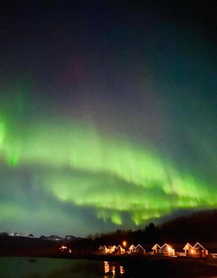 Idyllisk Sjohus Pa Naurstad ボードー エクステリア 写真